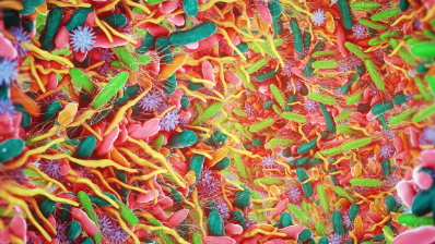 Picture of colorful Microbiome.